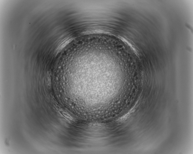 X0000098030921200804111319