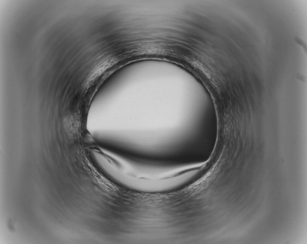 X0000098030922200804111319