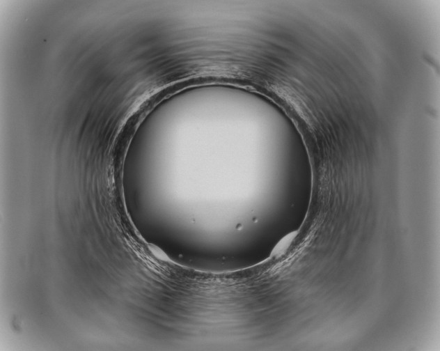 X0000098030923200804111319