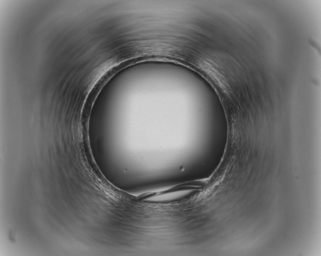 X0000098030924200804111319