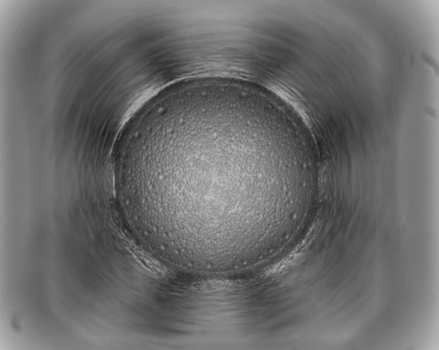 X0000098030925200804111319