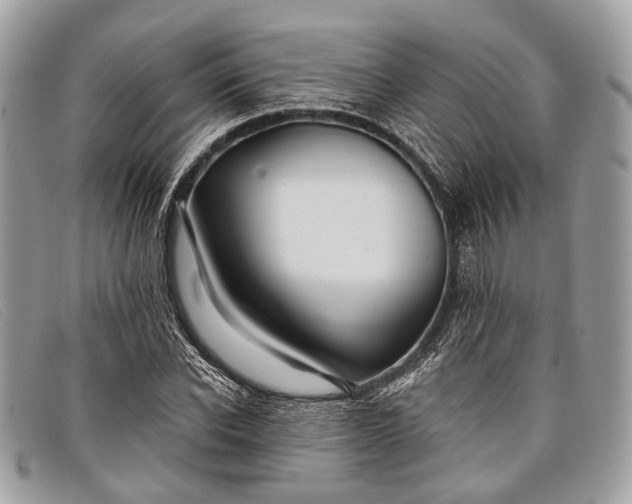 X0000098030926200804111319