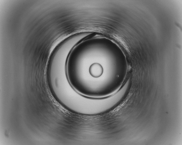 X0000098030928200804111319