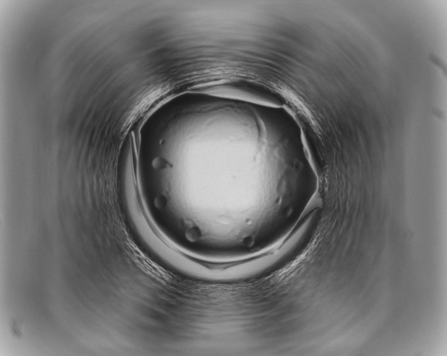 X0000098030930200804111319