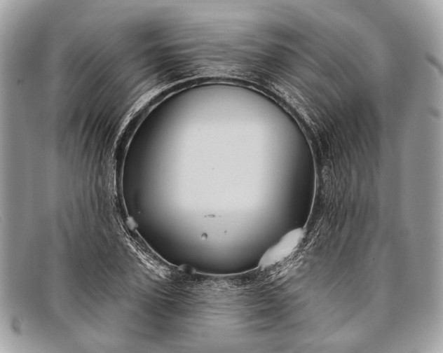 X0000098030931200804111319