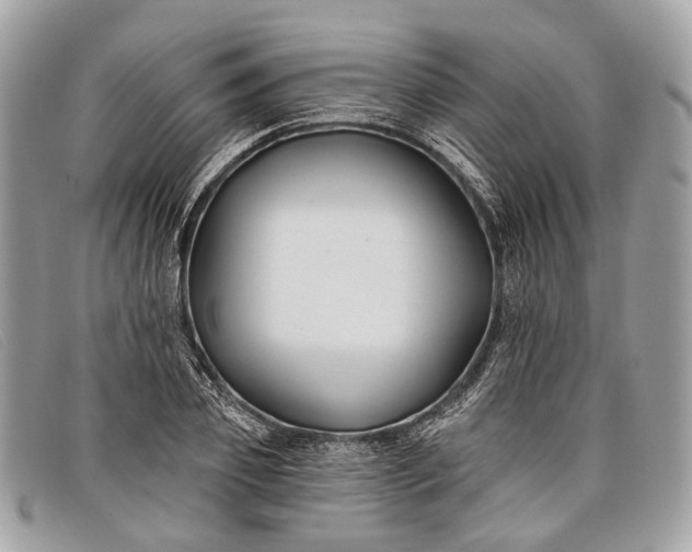 X0000098030933200804111319