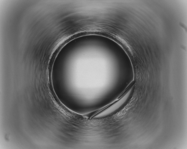 X0000098030935200804111319