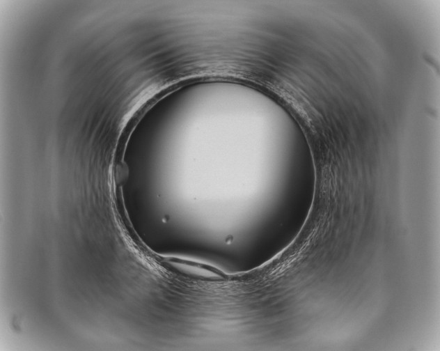 X0000098030936200804111319