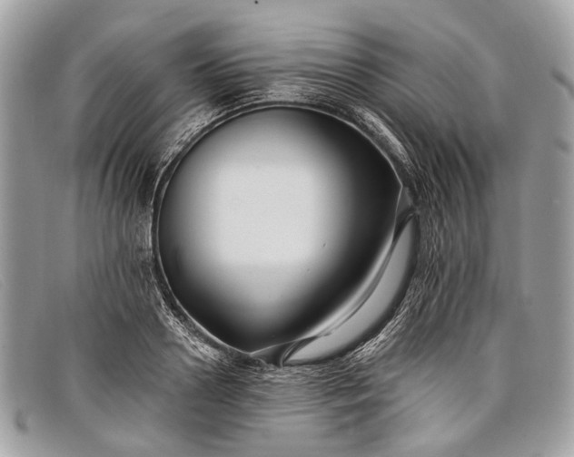 X0000098030938200804111319