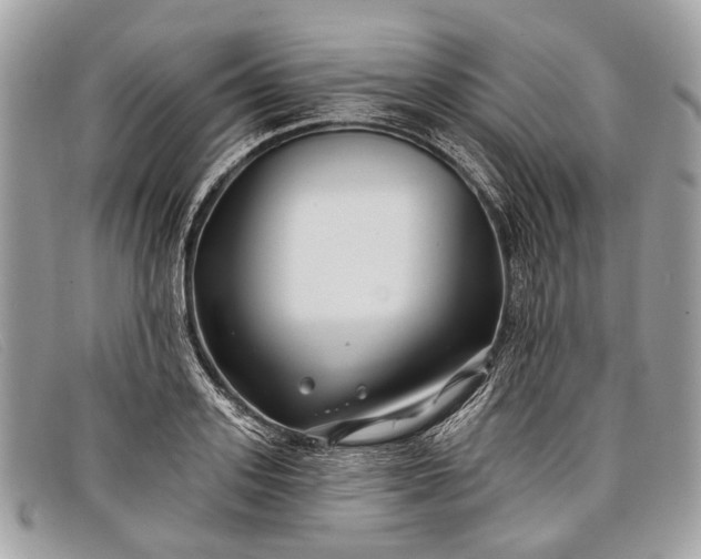 X0000098030939200804111319