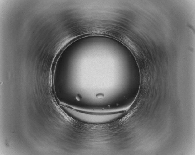 X0000098030940200804111319