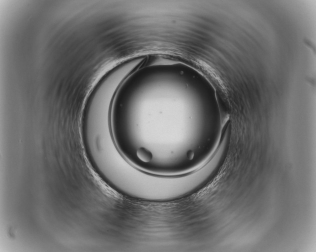 X0000098030942200804111319