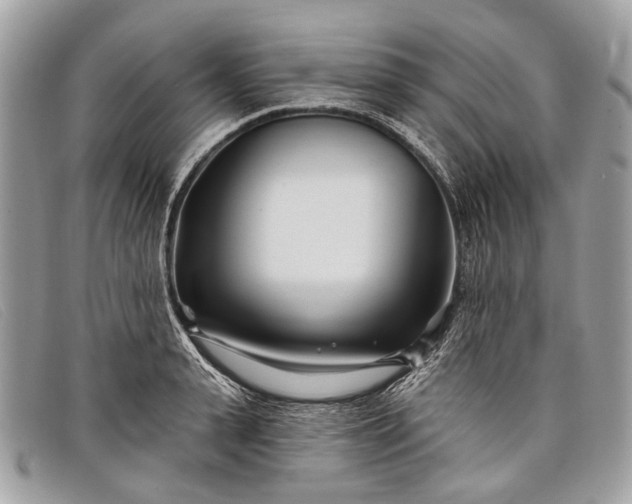 X0000098030943200804111319