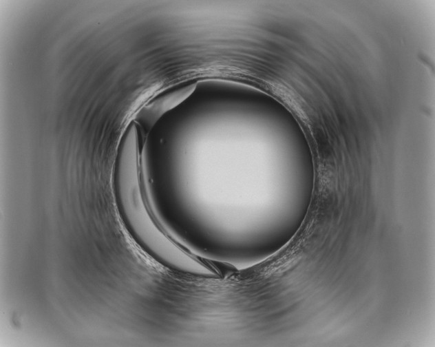 X0000098030946200804111319