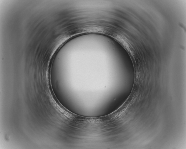 X0000098030947200804111319