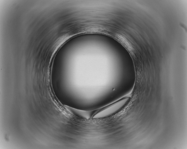 X0000098030948200804111319