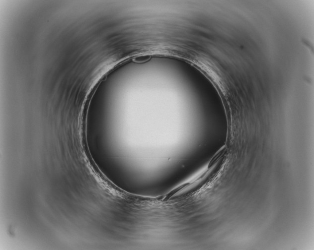 X0000098030949200804111319