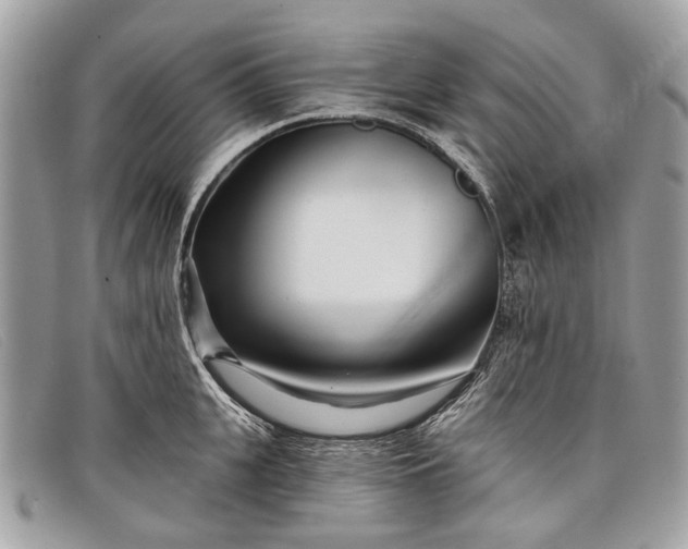 X0000098030951200804111319