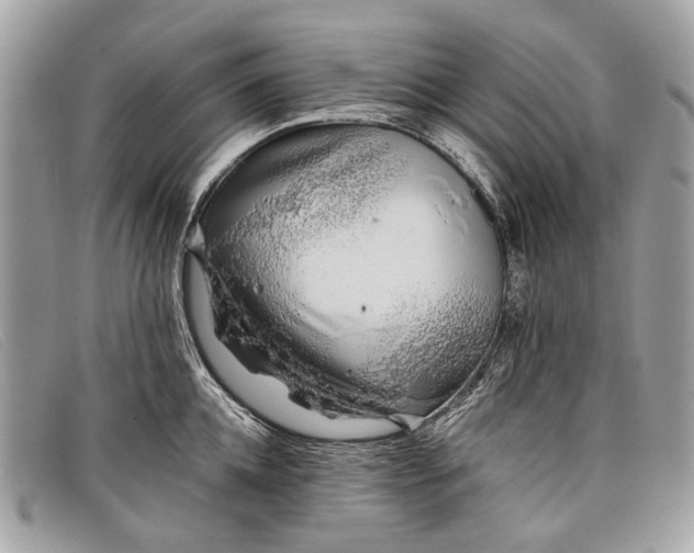 X0000098030952200804111319