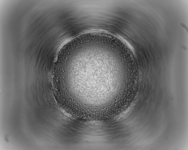 X0000098030953200804111319