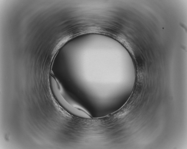 X0000098030954200804111319