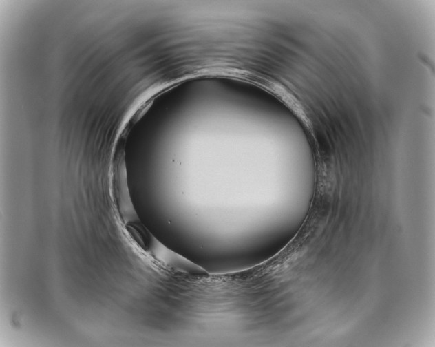 X0000098030955200804111319