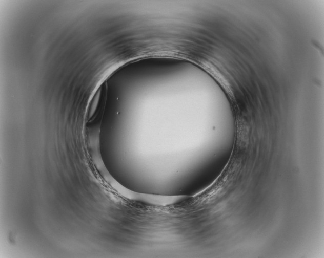 X0000098030956200804111319