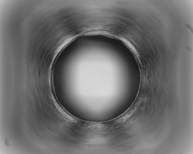 X0000098030957200804111319