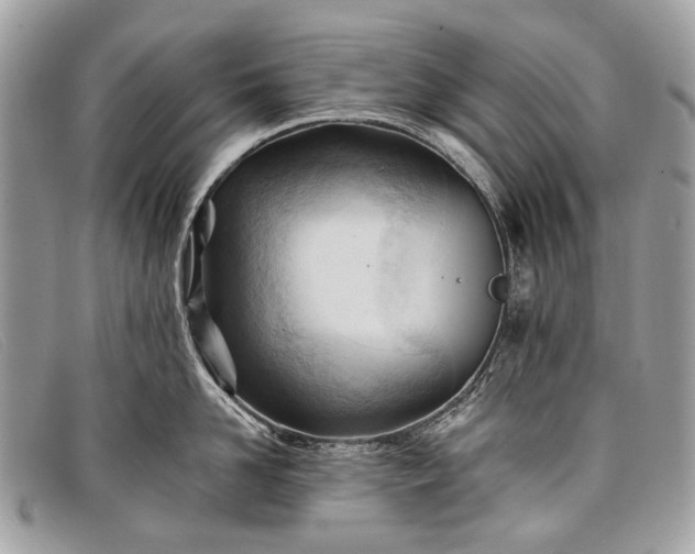 X0000098030958200804111319