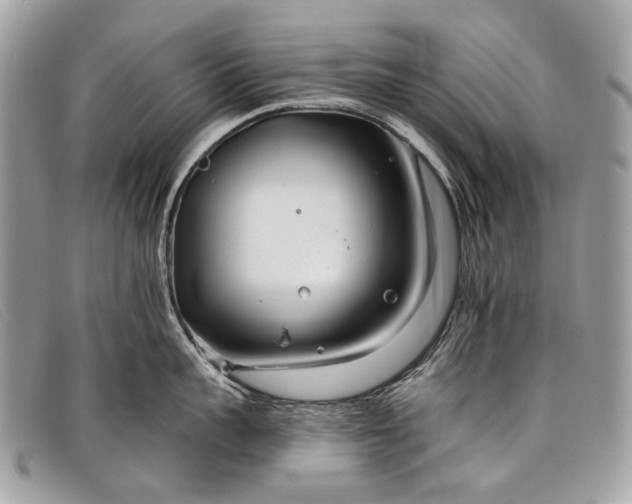 X0000098030959200804111319