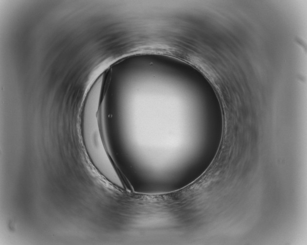 X0000098030960200804111319