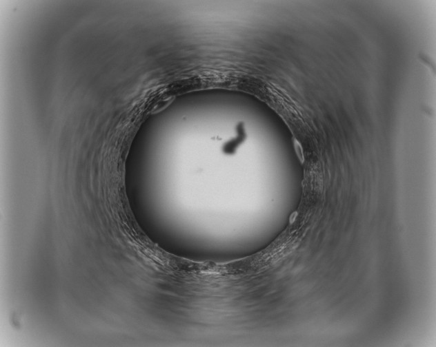 X0000098030961200804111318