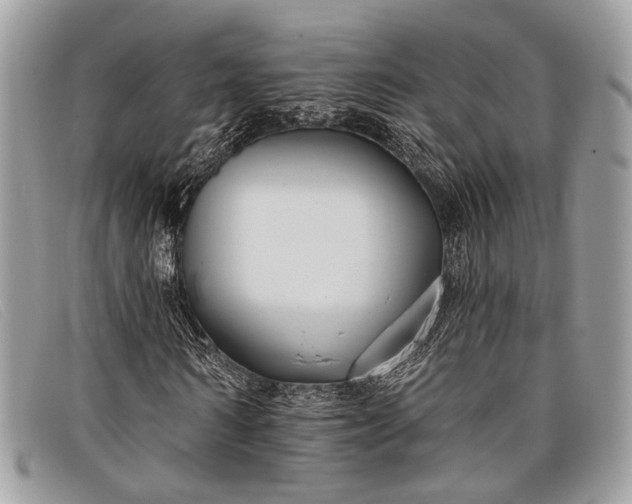 X0000098030962200804111318