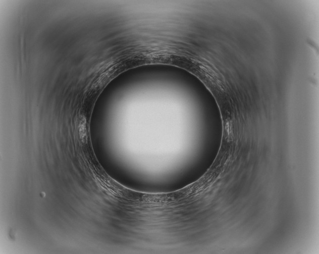 X0000098030963200804111318