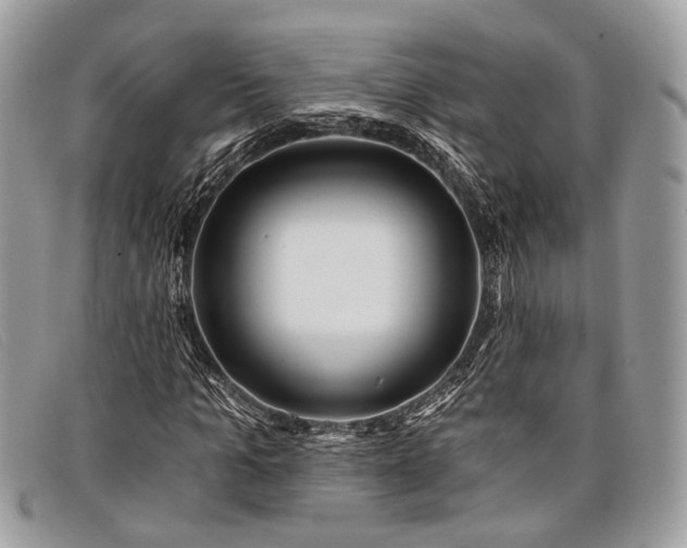 X0000098030965200804111318