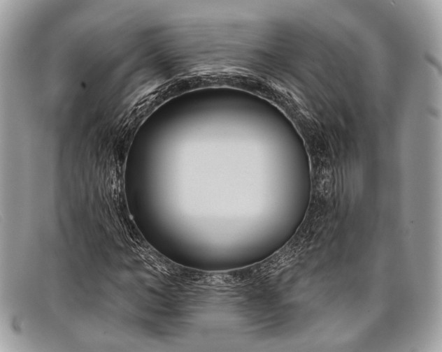 X0000098030966200804111318