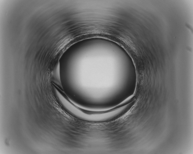 X0000098030969200804111318