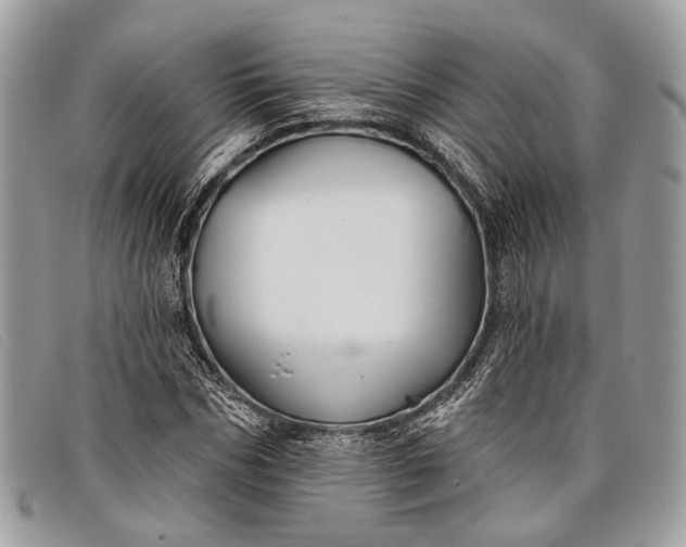 X0000098030970200804111318