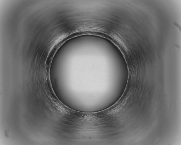 X0000098030974200804111318