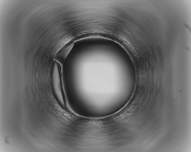 X0000098030977200804111318