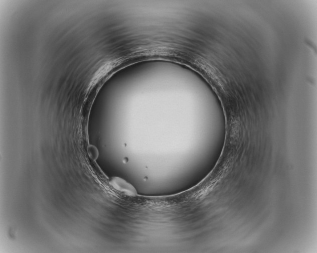 X0000098030978200804111318