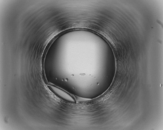 X0000098030980200804111318