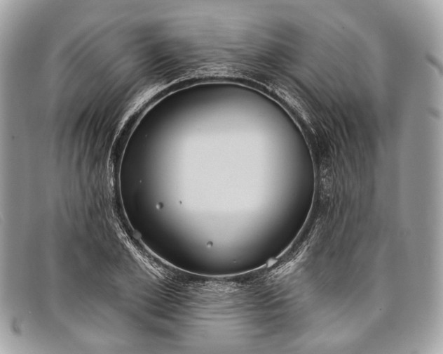 X0000098030981200804111318