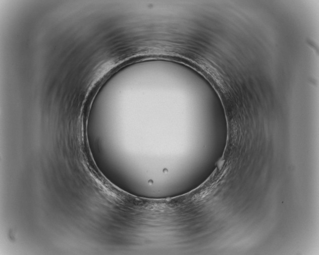 X0000098030982200804111318