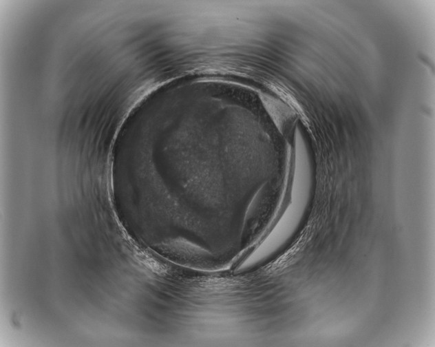 X0000098030984200804111318