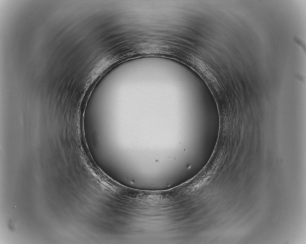 X0000098030986200804111318