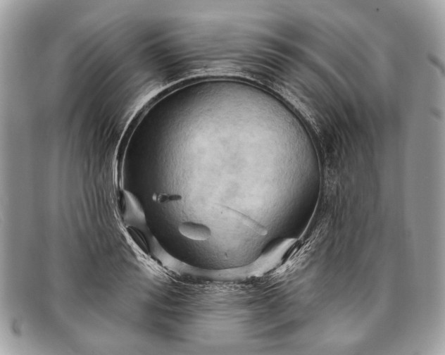 X0000098030988200804111318