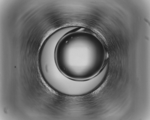 X0000098030989200804111318