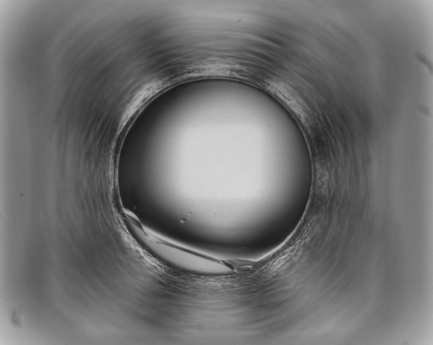 X0000098030994200804111318