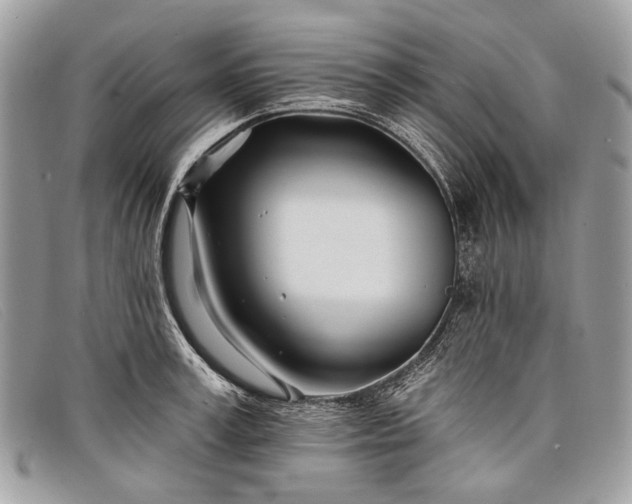 X0000098030995200804111318